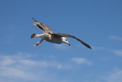 Прикрепленное изображение: 4_IMG_1900_р.jpg